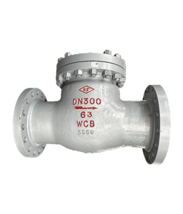 中低壓旋啟式止回閥